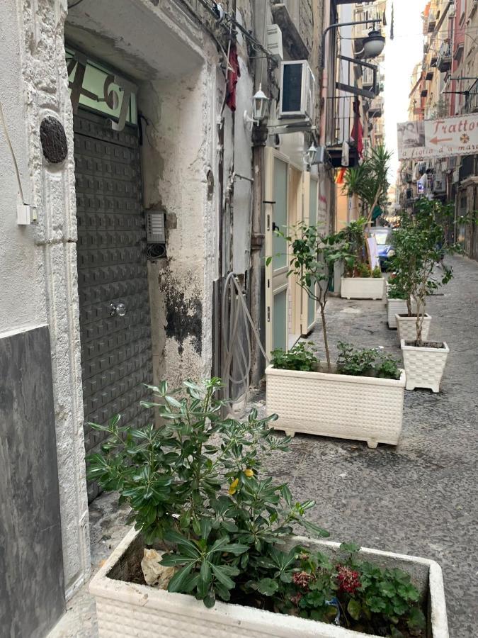 Ciko Napoli